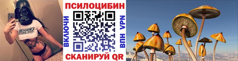 Галлюциногенные грибы Psilocybe  mega вход  Кувшиново 
